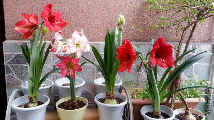 ��������20130405-.jpg
