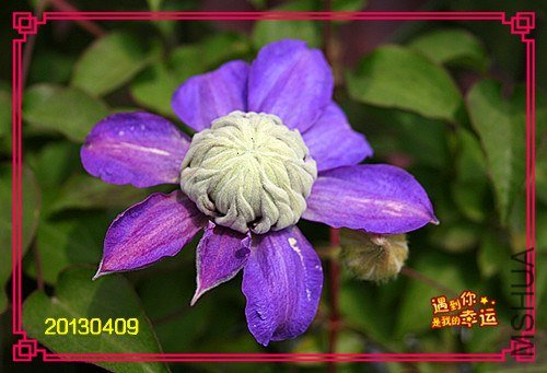 ��Ƭ 078_����.jpg