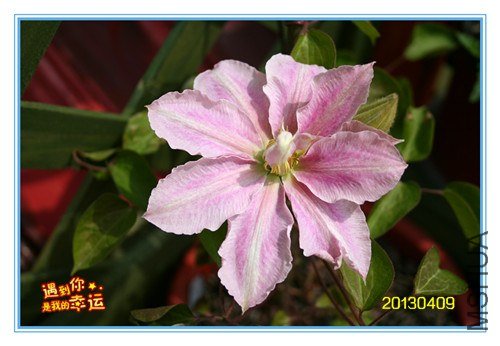 ��Ƭ 079_����.jpg