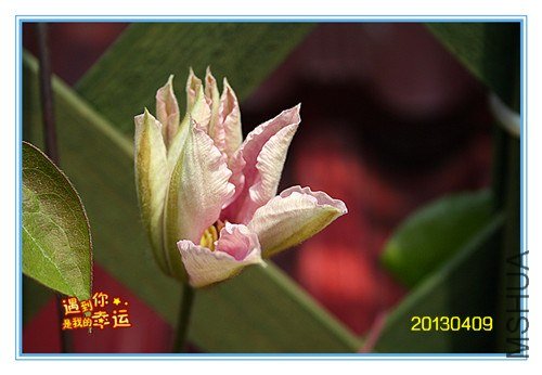 ��Ƭ 080_����.jpg