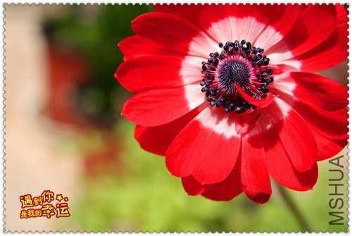 ��Ƭ 041_����.jpg