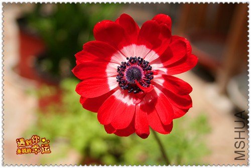 ��Ƭ 039_����.jpg