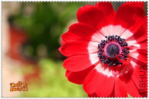 ��Ƭ 040_����.jpg