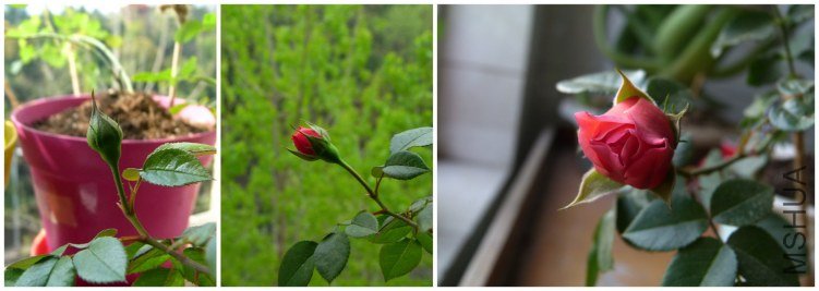 3.28����4.5����4.8