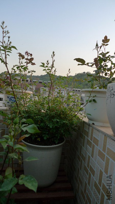 p1030435_����.jpg