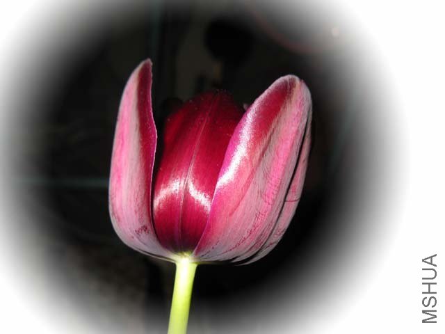 IMG_5140.jpg