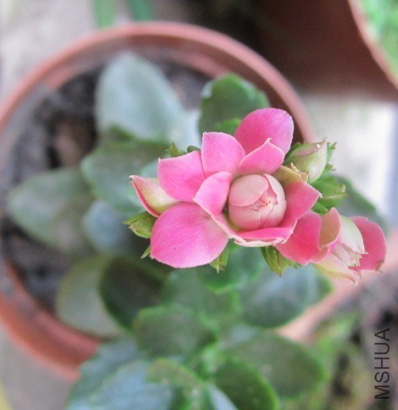 ���ҷ������