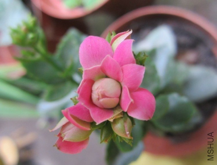 ���ҷ������