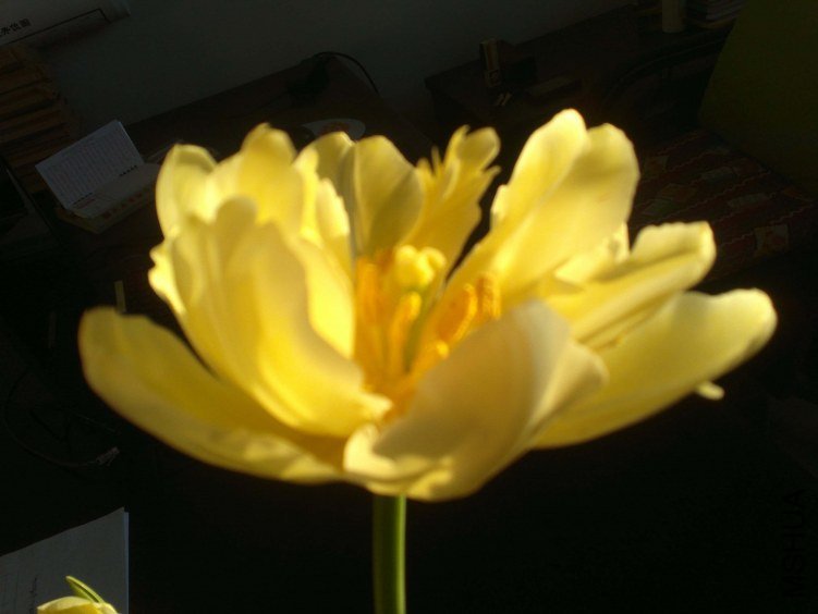 2013-01-04-934.jpg