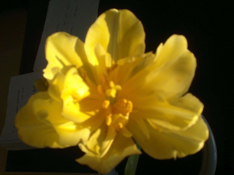 2013-01-04-944.jpg