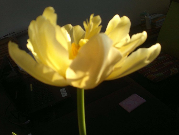 2013-01-04-935.jpg