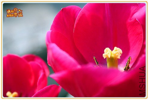 ��Ƭ 008_����.jpg