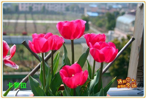 ��Ƭ 005_����.jpg