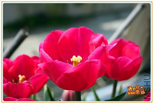 ��Ƭ 007_����.jpg