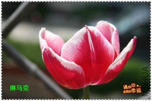 ��Ƭ 014_����.jpg