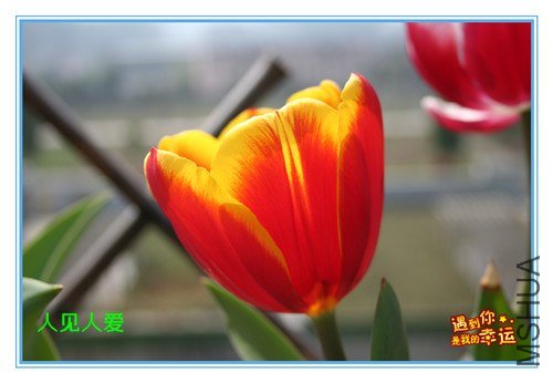 ��Ƭ 010_����.jpg