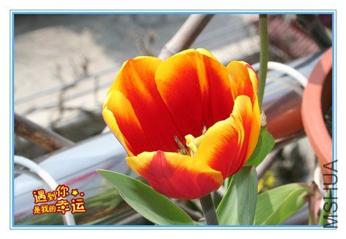 ��Ƭ 012_����.jpg