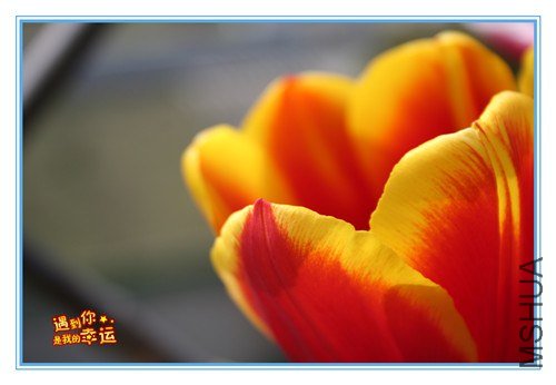 ��Ƭ 013_����.jpg