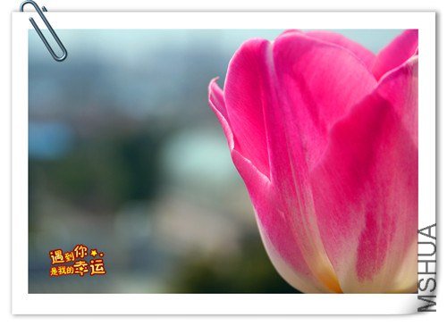 ��Ƭ 017_����.jpg