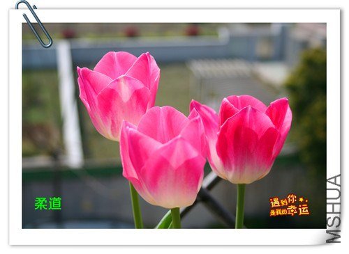 ��Ƭ 015_����.jpg