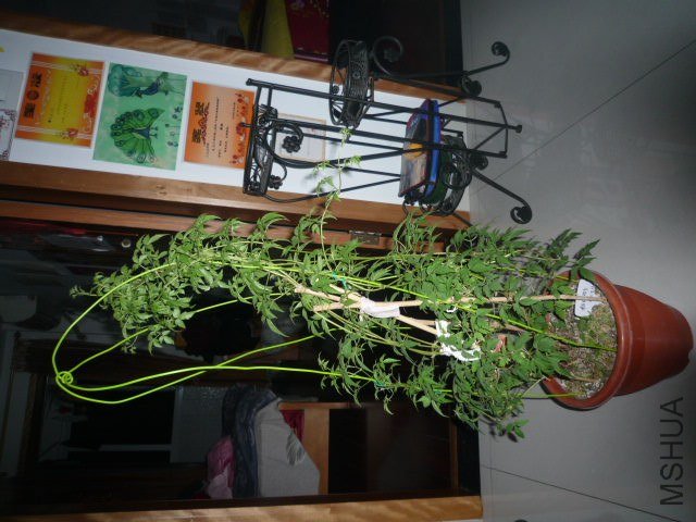 P1080230.JPG