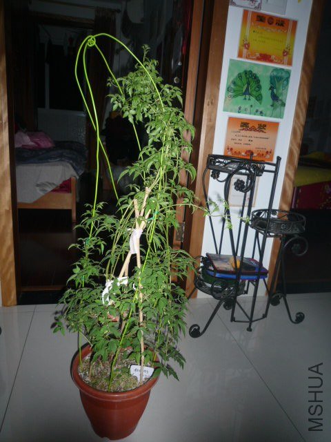 P1080230.JPG