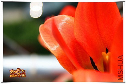 ��Ƭ 023_����.jpg