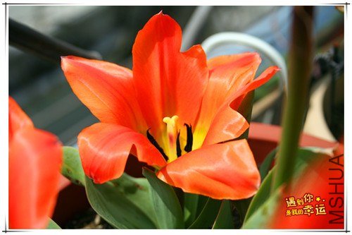 ��Ƭ 021_����.jpg