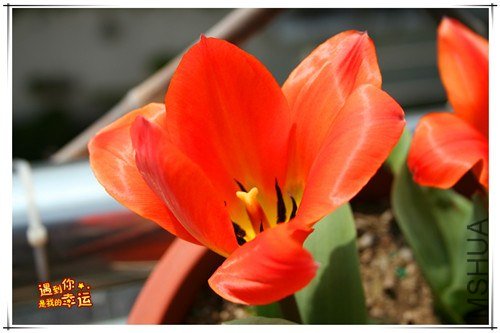 ��Ƭ 022_����.jpg