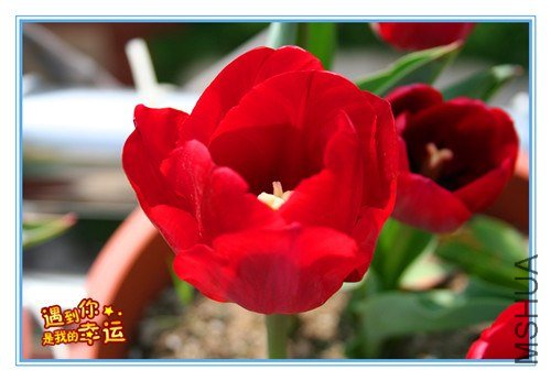 ��Ƭ 027_����.jpg