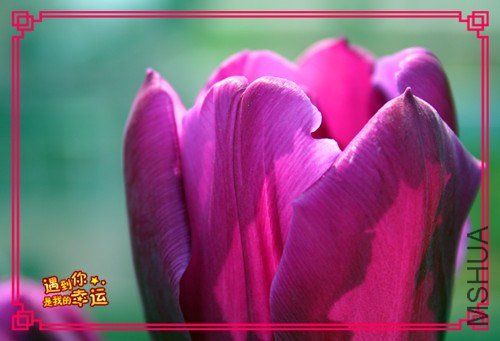 ��Ƭ 053_����.jpg