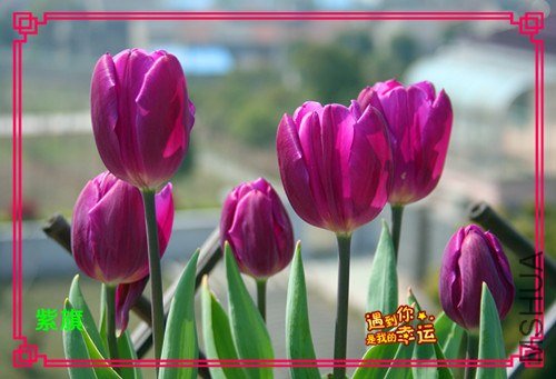 ��Ƭ 049_����.jpg