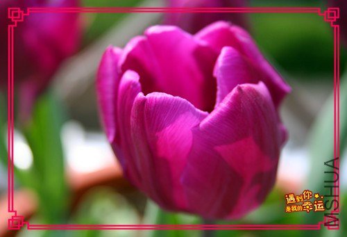 ��Ƭ 050_����.jpg