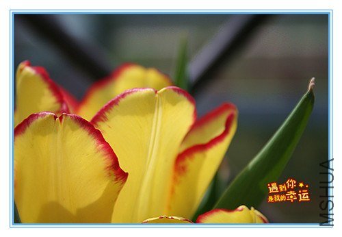 ��Ƭ 035_����.jpg