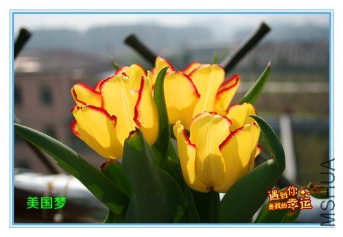 ��Ƭ 029_����.jpg