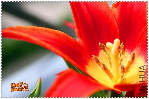 ��Ƭ 060_����.jpg