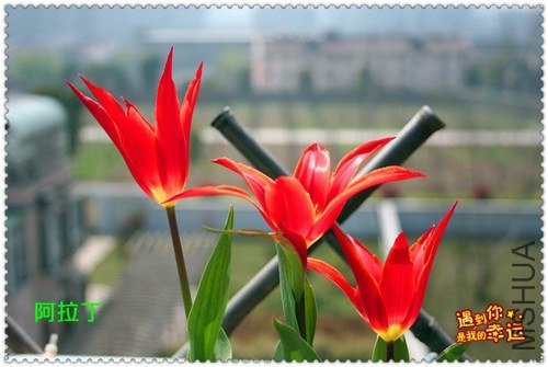 ��Ƭ 055_����.jpg