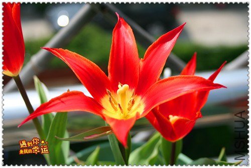 ��Ƭ 057_����.jpg