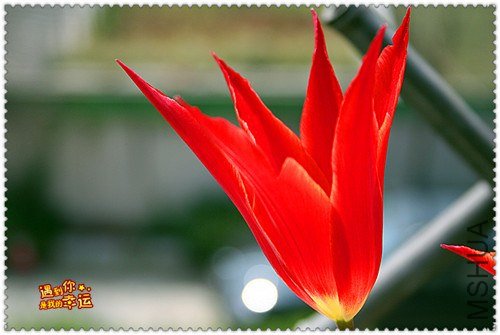 ��Ƭ 059_����.jpg