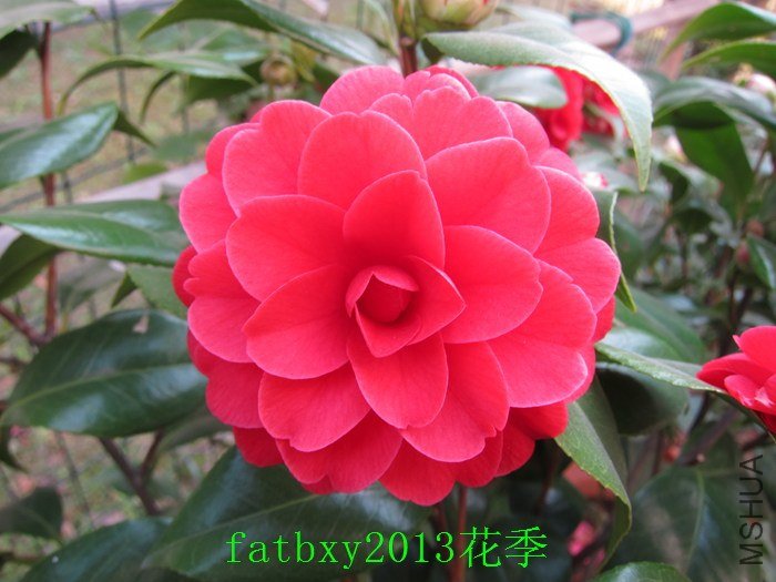 ����1.jpg