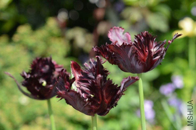 ������С ������20130412 002.JPG