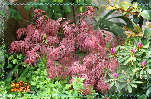 ��Ƭ 051_����.jpg