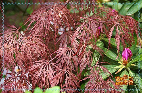 ��Ƭ 052_����.jpg