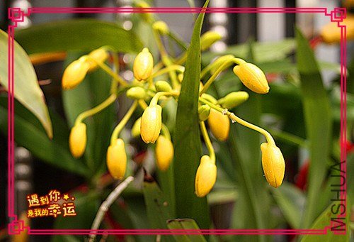 ��Ƭ 001_����.jpg