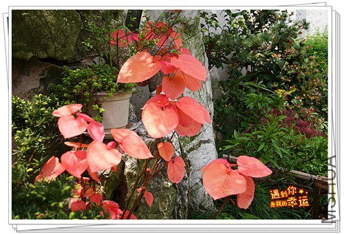 ��Ƭ 063_����.jpg