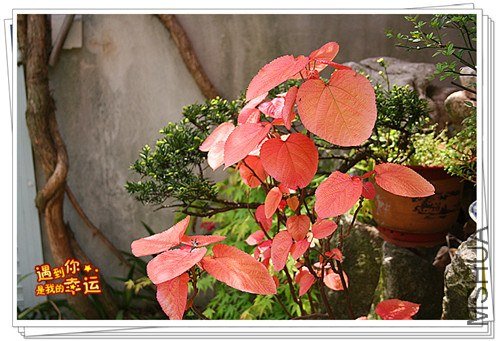 ��Ƭ 058_����.jpg