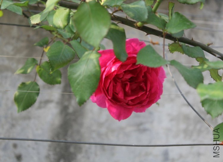 2013-04-12_191637.jpg