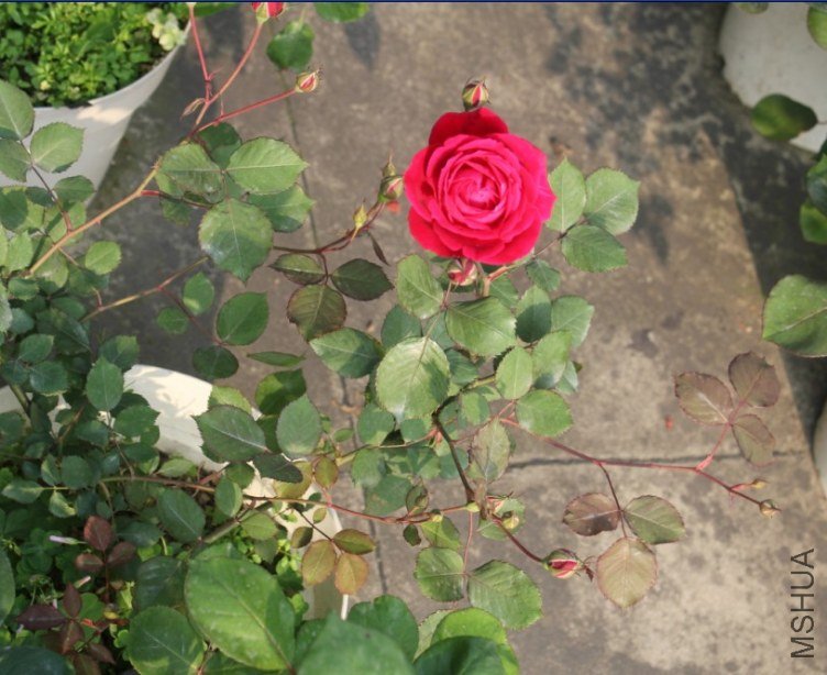 2013-04-12_191728.jpg