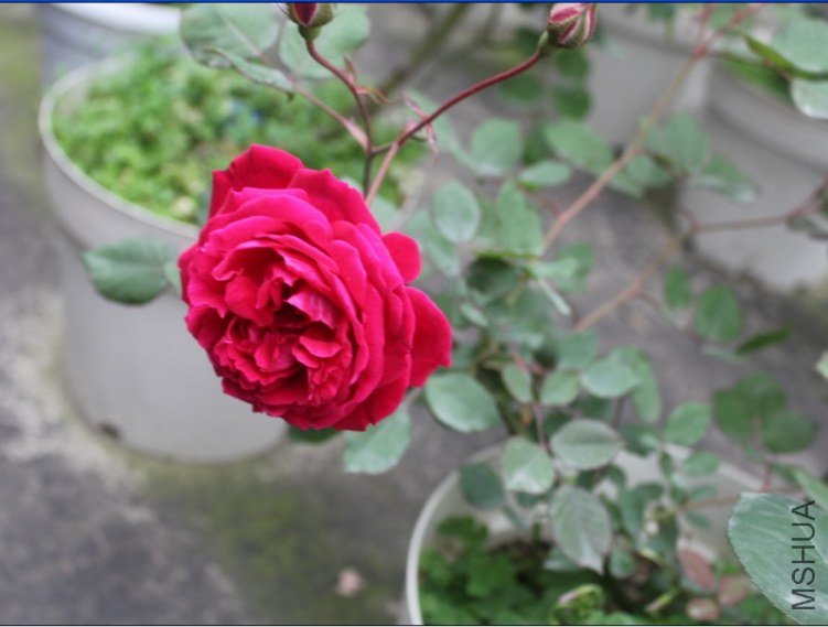 2013-04-12_192248.jpg