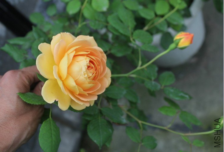 2013-04-12_192310.jpg